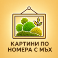 Картини по номера с мъх