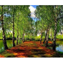 БРЕЗИ - диамантен гоблен 45057