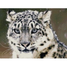 БЕЛИЯТ ТИГЪР - Диамантен гоблен 34050 