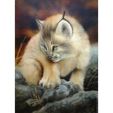 Комплект за рисуване по номера - Мъркаща котка ZE 6132