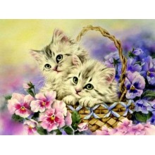 Картина по номера - Котенца ZG 0316