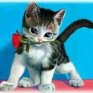 КОТЕНЦЕ С РОЗА - Диамантен гоблен 22011 