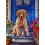Golden Retriever - Диамантен гоблен 34101