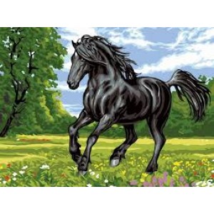 Комплект за рисуване по номера - Черен кон ZE 5267