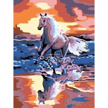 Комплект за рисуване по номера - Кон в морето ZE 5068