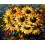 Комплект за рисуване по номера - Слънчогледи ZG 6751 Комплект за рисуване по номера - Слънчогледи ZG 6751