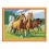 Коне - Картини по номера ZE 5054