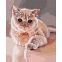 Картина по номера - Нежна котка ZE 3866 Картина по номера - Нежна котка ZE 3866