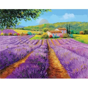 Лавандулово поле - Картина по номера ZG 11076