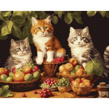Картина по номера - Котки с плодове ZE 3883