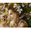 Комплект за рисуване по номера - ЕВА ZG 6693