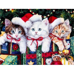 Картина по номера - Коледни котета ZE 3960