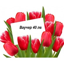  ВАУЧЕРИ ЗА ПОДАРЪК
