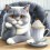 Рисуване по номера - Коте с кафе ZP 1389