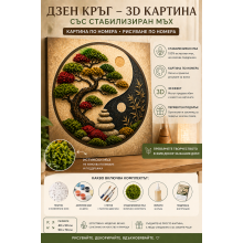 Картина по номера „Дзен кръг“ със стабилизиран мъх MH 004