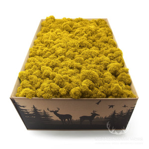 Premium Moss Edition