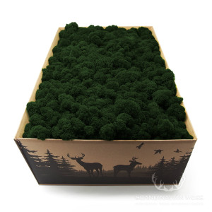 Premium Moss Edition