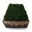 Premium Moss Edition