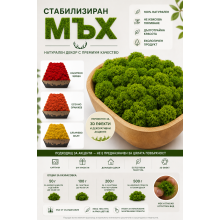 Premium Moss Edition