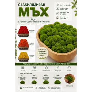 Premium Moss Edition