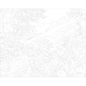 Комплект за рисуване по номера - Горски цветя ZG 8552