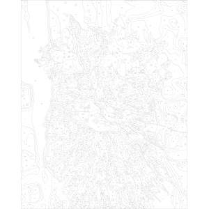 Картина по номера - Котка с цветя  Z 2141