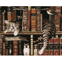Картина по номера - Котка и книги ZG 0007