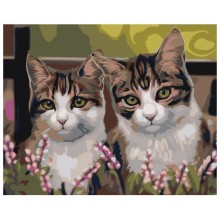 Картина по номера - Котки ZG 0059