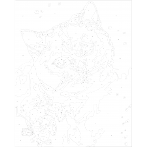 Картина по номера - Котка ZG 0061