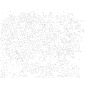 Картина по номера - Цветя  ZG 0068
