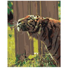 Картина по номера - Тигър ZG 0074