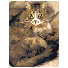 Картина по номера - Котка ZE 3090 