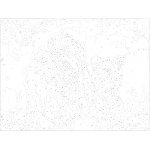 Картина по номера - Лъвове ZE 3095 