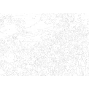 Картина по номера - Диви цветя ZG 0127