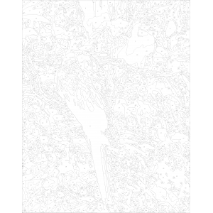 Картина по номера - Папагали ZG 02245