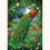 GI 304124 Диамантен гоблен - Пауни