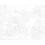 Картина по номера - Моторист FLU 19 Картина по номера - Моторист FLU 19