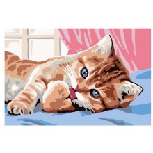 Котката се събуди - Картина по номера ZE 35241