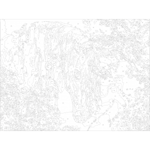 Картина по номера - Кон и птици ZE 3177