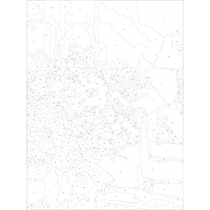 Картина по номера - Цветна сутрин ZE 3194