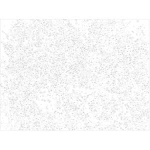 Картина по номера - Полеви цветя  ZE 3200
