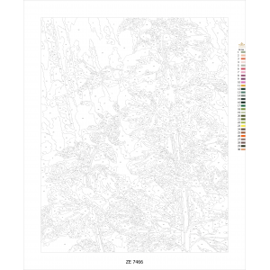 Рисуване по номера - Колибри на цвете ZE 7466