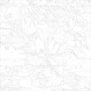 Картина по номера - Розови лалета  ZP 5068