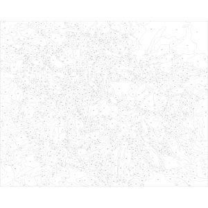 Комплект за рисуване по номера - Цветя ZG 21906