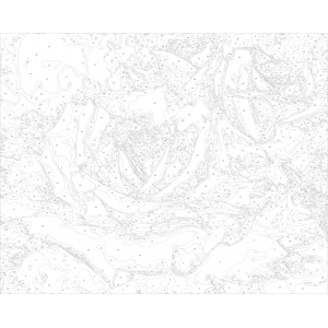 Рисуване по номера - Рози ZG 7273