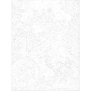 Комплект за рисуване по номера - Красиви цветя ZE 5254