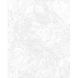 Шарена котка  - Картина по номера ZG 10101