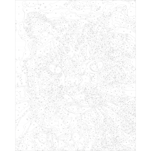 Шарена котка  - Картина по номера ZG 10102