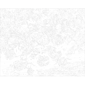 Картина по номера - Прекрасни рози ZE 3249