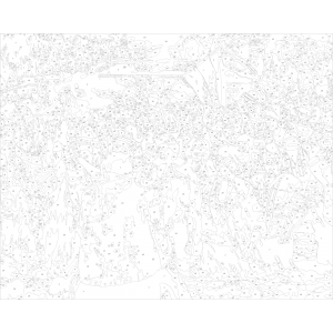 Картина по номера - Йордановско хоро  ZE 3323